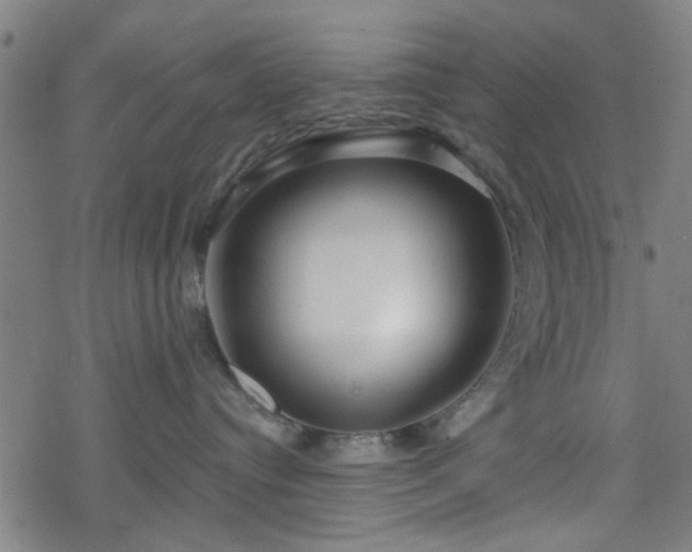 X0000078250384200611101016