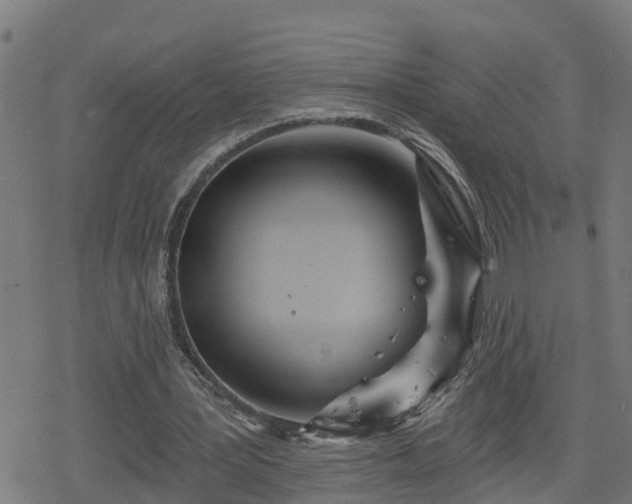 X0000078250387200611101015