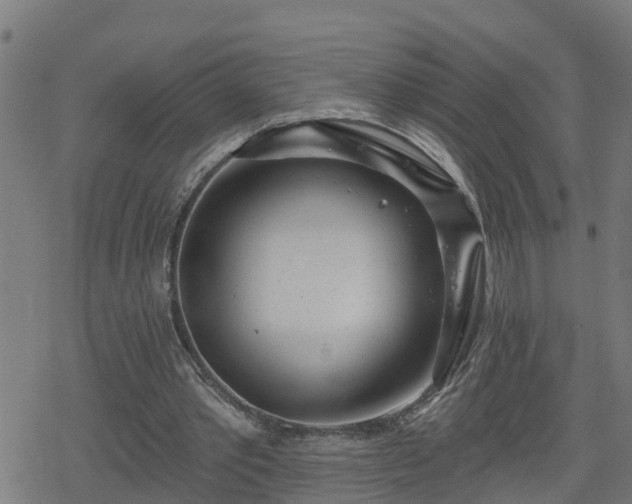 X0000078250389200611101015