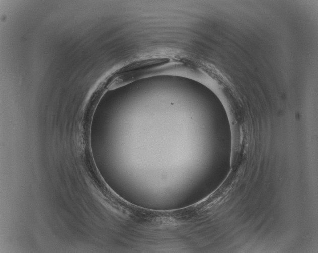 X0000078250392200611101015