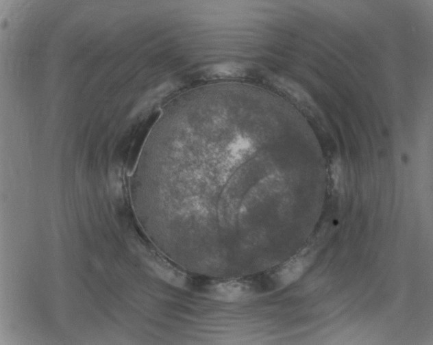 X0000078250423200611101015