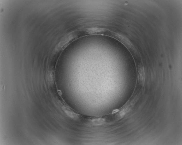 X0000078250426200611101015