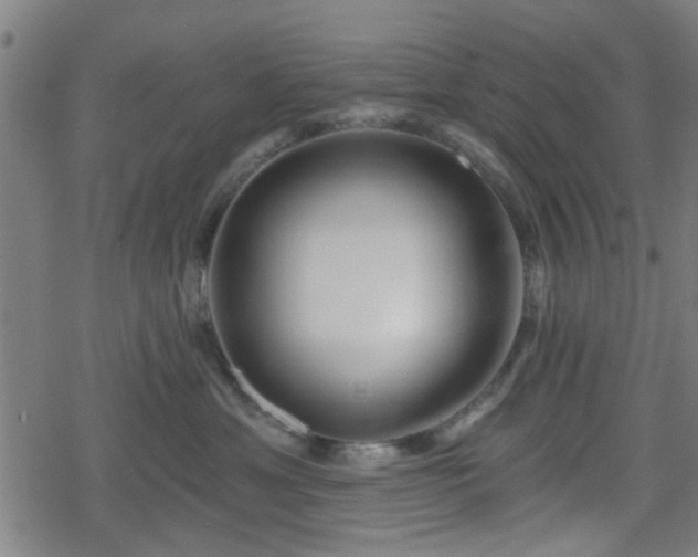 X0000078250429200611101015
