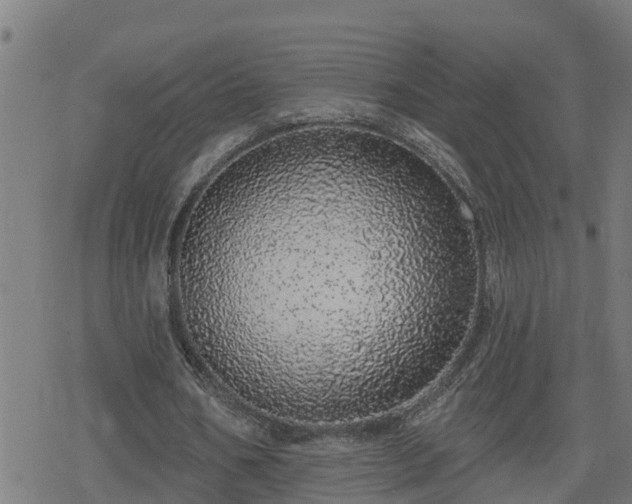 X0000078250578200611101012