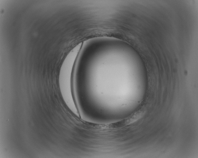 X0000078250624200611101011