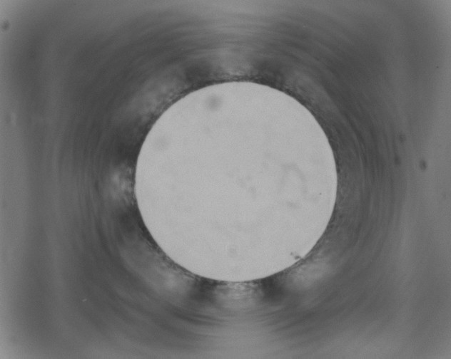 X0000078250672200611101011