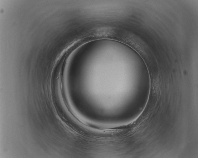 X0000078250722200611101009
