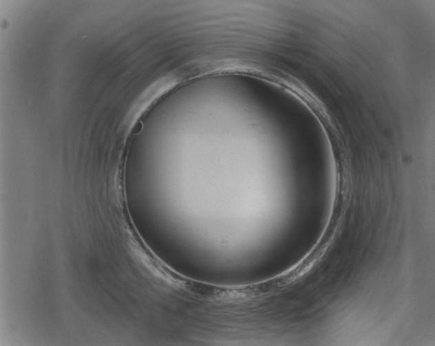 X0000078250806200611101008