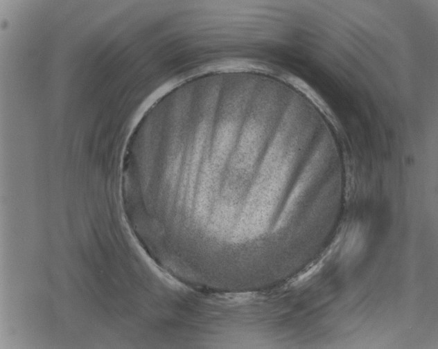 X0000078250853200611101008