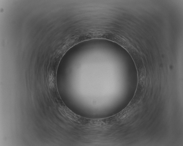 X0000078250866200611101007