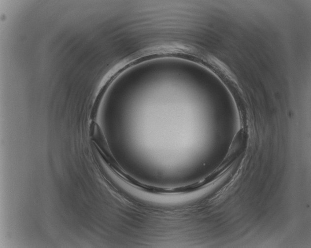 X0000078251226200611101002