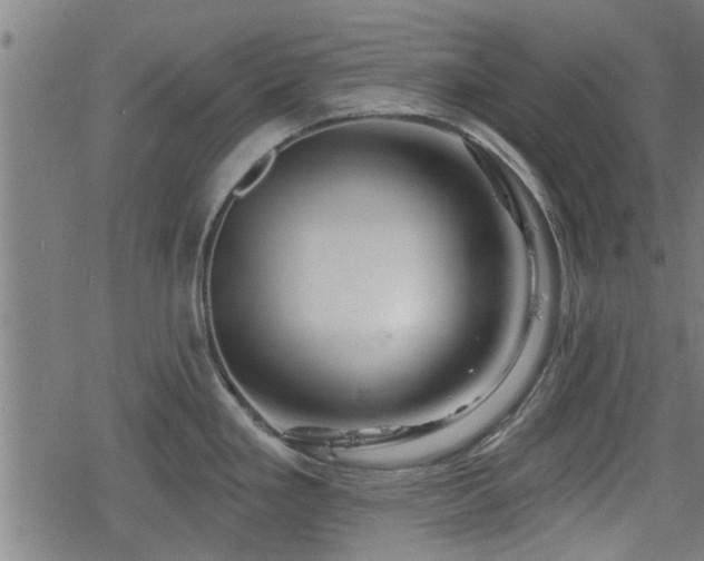 X0000078251293200611101000