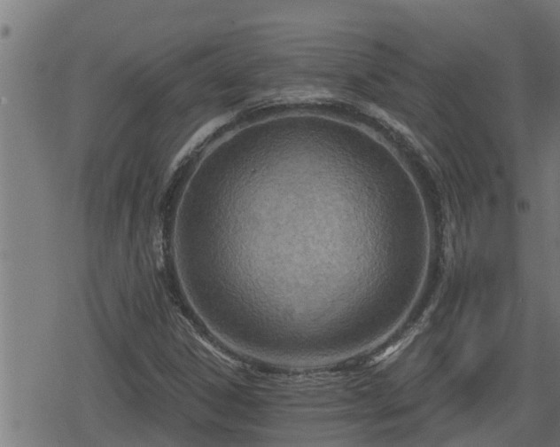 X0000078251306200611101000
