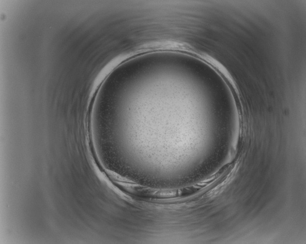 X0000078251389200611100959