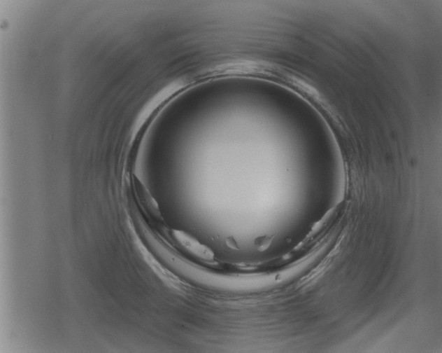 X0000078251426200611100959