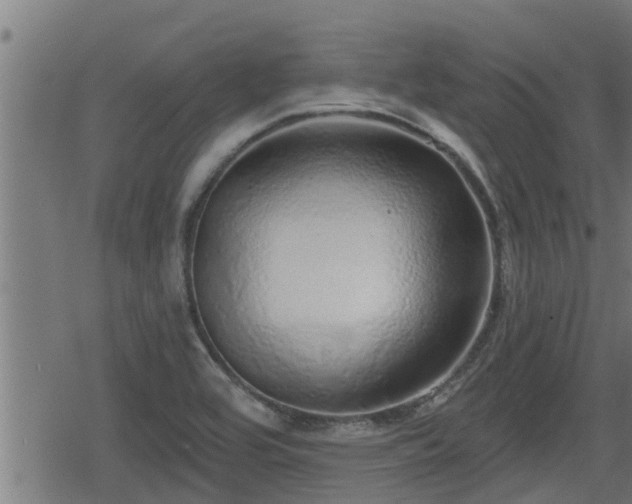 X0000078251464200611100958