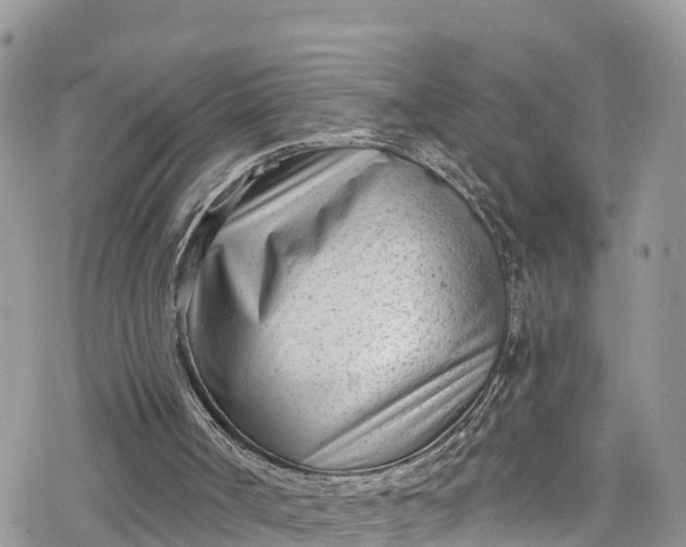 X0000078250002200611171535