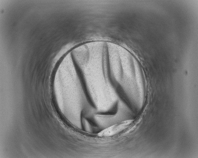 X0000078250008200611171535