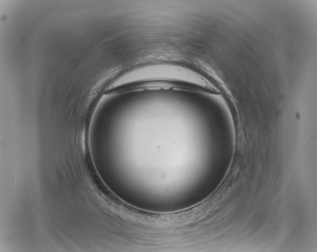 X0000078250019200611171535