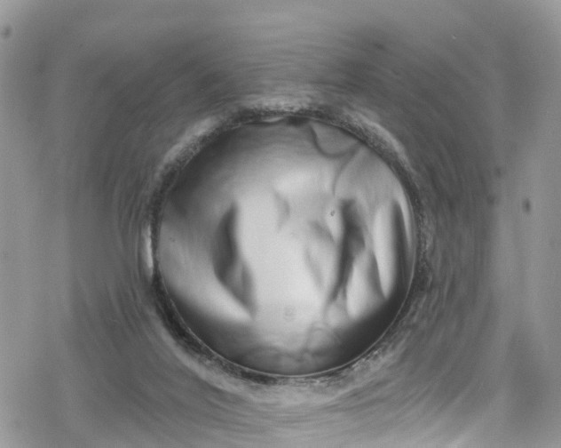 X0000078250020200611171535