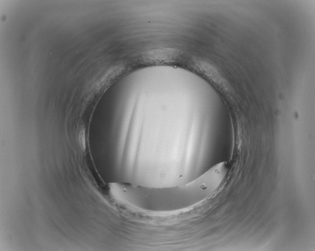 X0000078250021200611171535