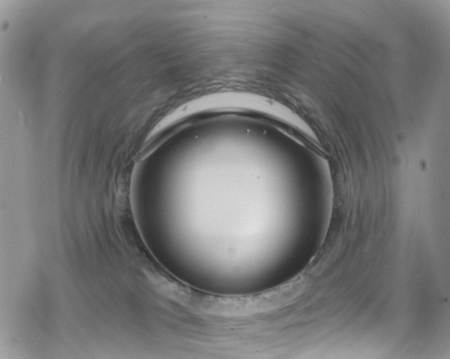 X0000078250037200611171534