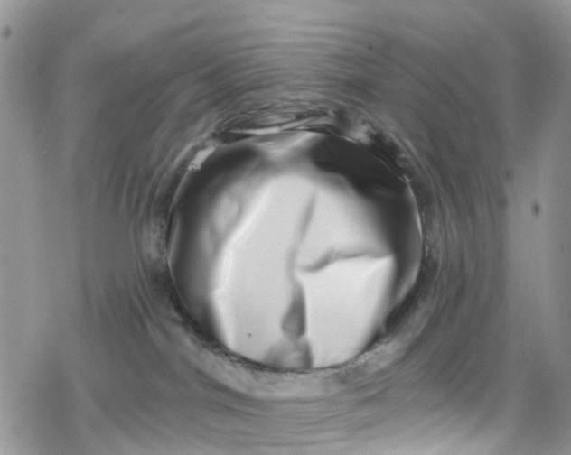 X0000078250044200611171534