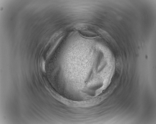 X0000078250046200611171534