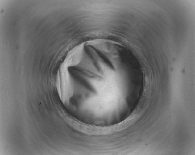 X0000078250048200611171534