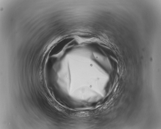 X0000078250050200611171533