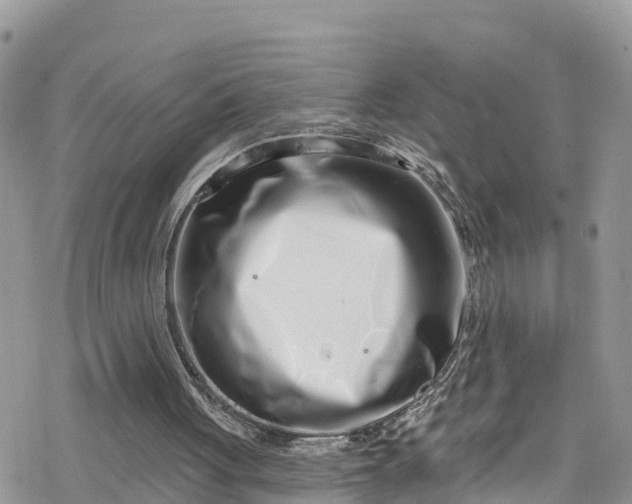 X0000078250051200611171533