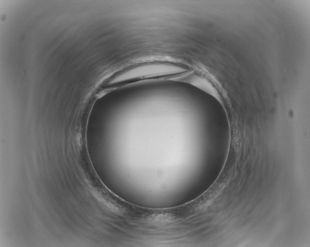 X0000078250063200611171534