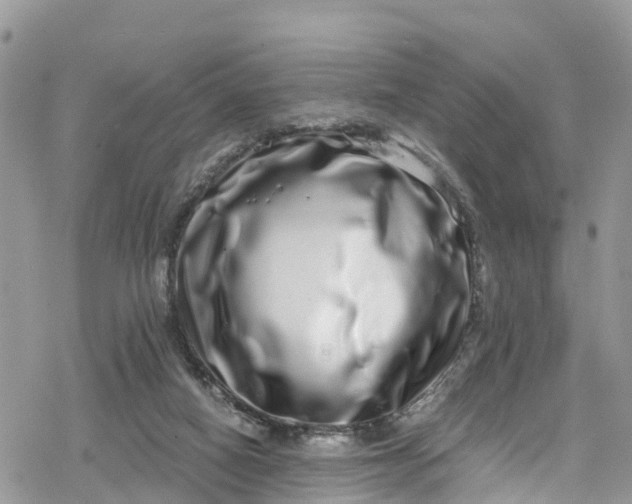 X0000078250066200611171534