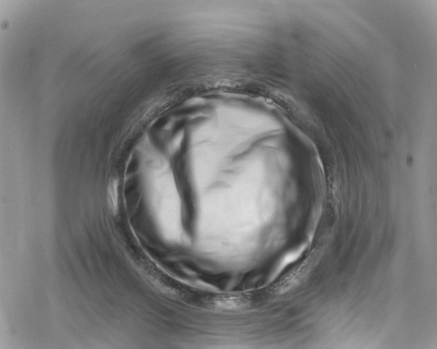 X0000078250070200611171534
