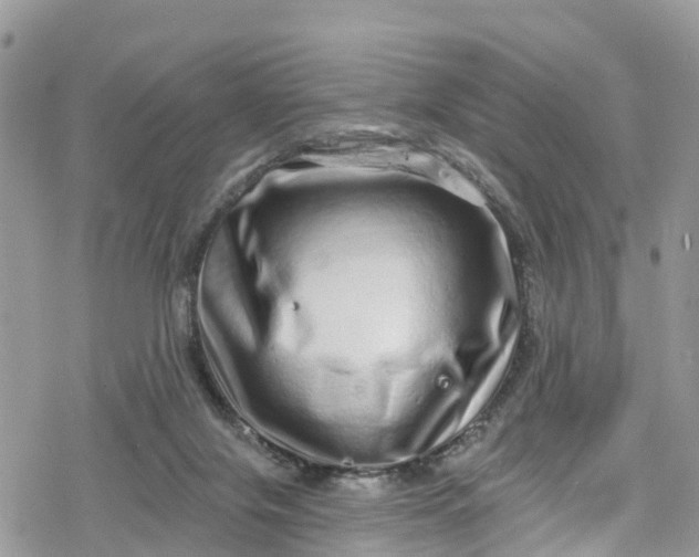 X0000078250071200611171534