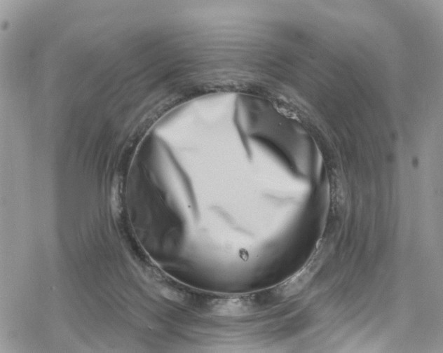 X0000078250074200611171534