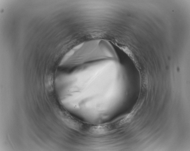 X0000078250082200611171534