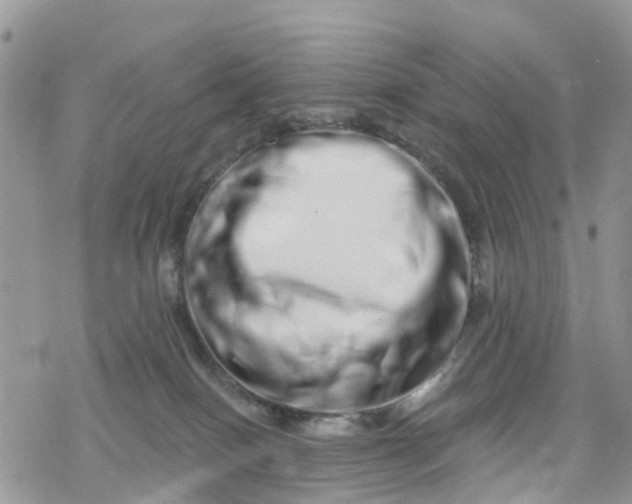 X0000078250086200611171534