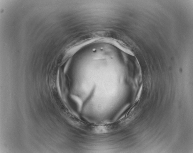 X0000078250091200611171534