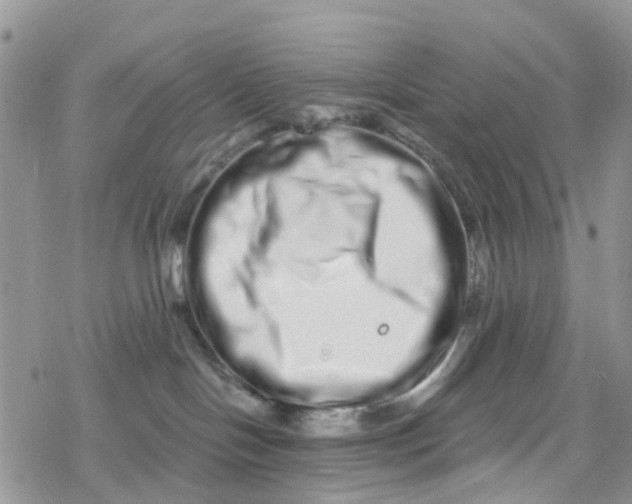 X0000078250094200611171534