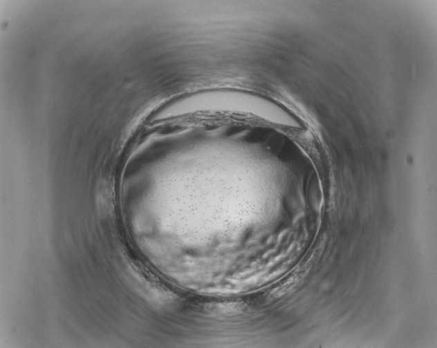 X0000078250107200611171533