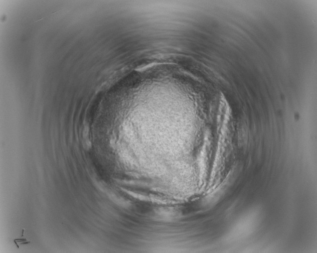 X0000078250187200611171532
