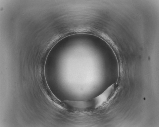 X0000078250201200611171532