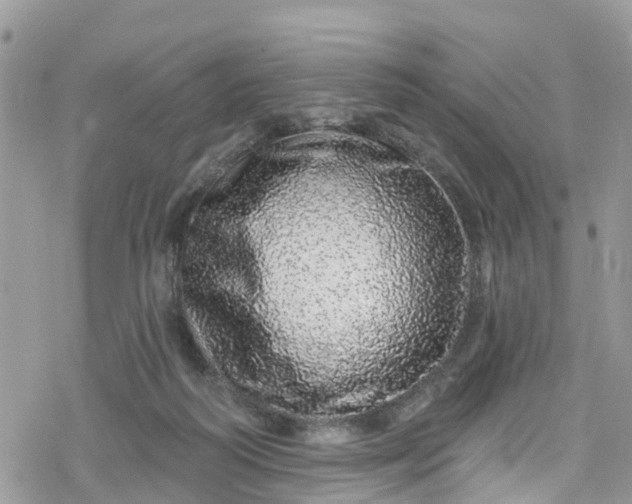 X0000078250218200611171531