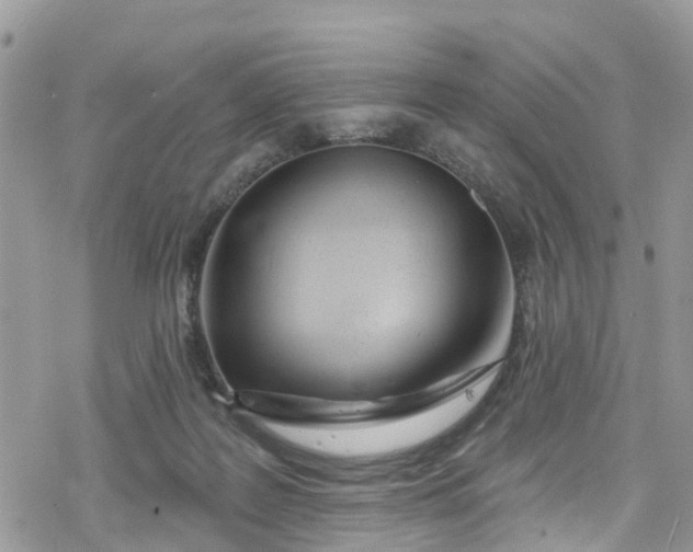 X0000078250219200611171531