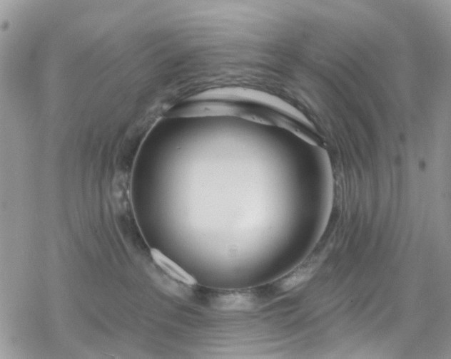 X0000078250237200611171531