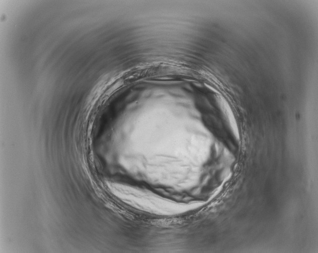 X0000078250241200611171530