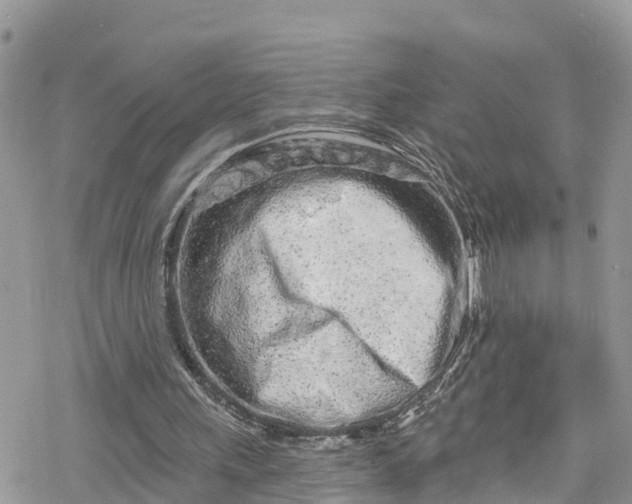 X0000078250243200611171530