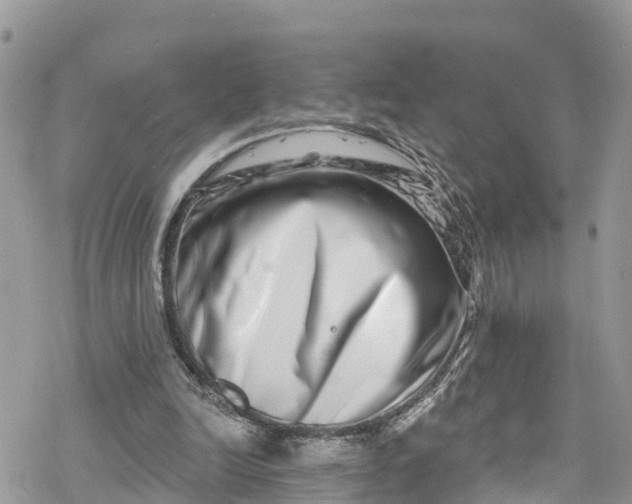 X0000078250246200611171530
