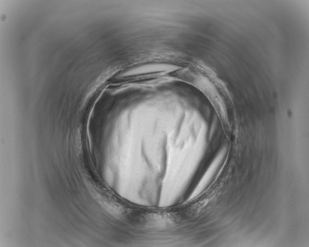 X0000078250250200611171530
